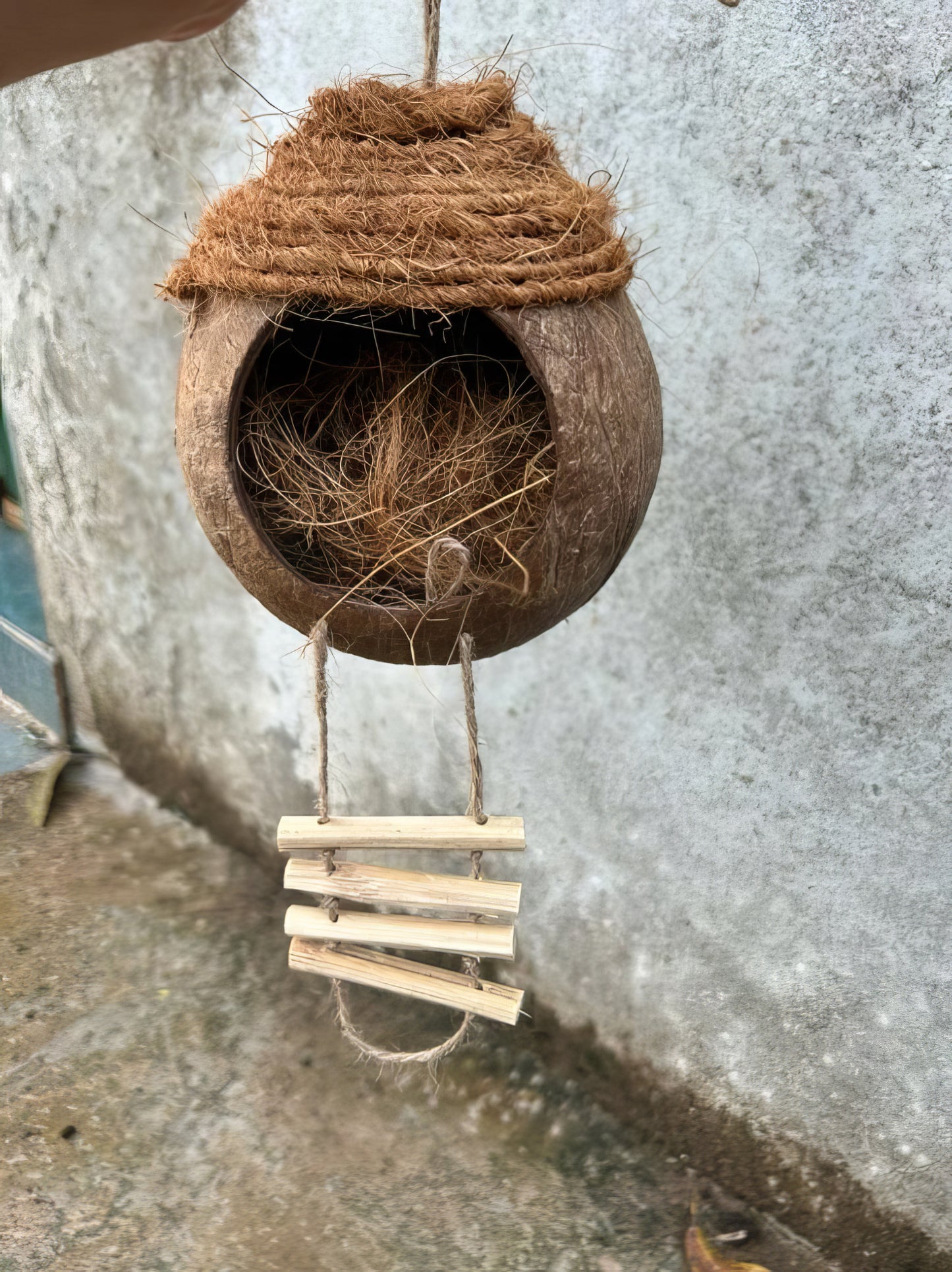 Coconut shell bird nest for birds, parrots, squirrels, mice