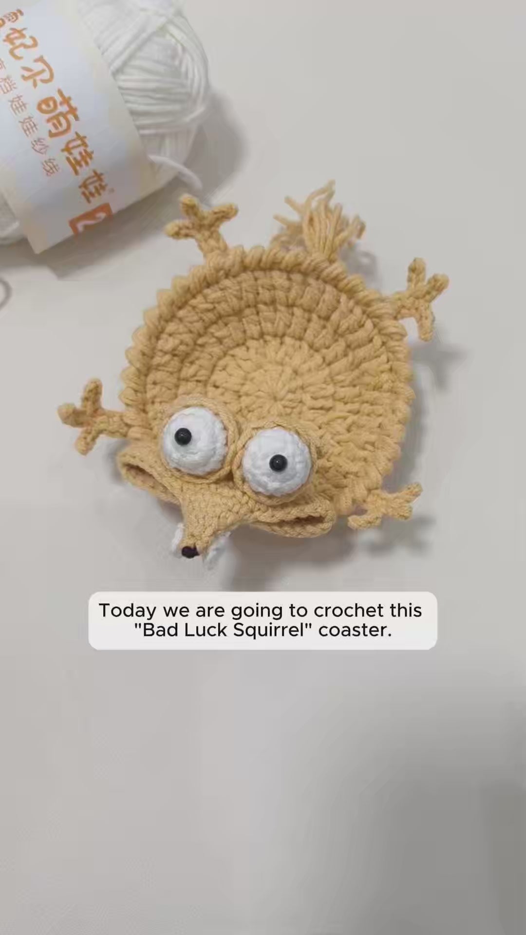 Bad Luck Squirrel Coaster Crochet Pattern | PDF + Video Tutorial